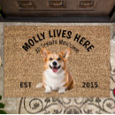 Search for corgi doormats Pets