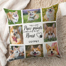 Recherche de pet photo coussins Pont arc en ciel