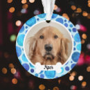 Search for bubble ornaments Pet