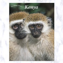 Recherche de le kenya cartes postales Faune