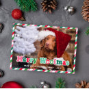 Search for dog christmas cards Pet photo