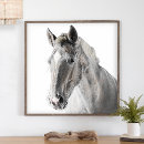 Search for vintage equestrian horse posters Horses