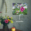 Recherche de marguerites blanches posters Fleur sauvage