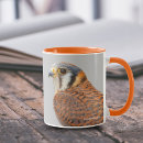 Search for american kestrel mugs Falcon