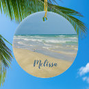 Search for sandpiper ornaments Ocean