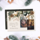 Search for pine christmas cards Evergreen