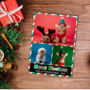 Search for dog puns holiday cards Funny