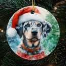 Search for leopard ornaments catahoula leopard dog