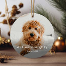 Search for funny ornaments pet photo
