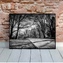 Search for central park winter posters Photography