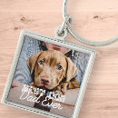 Search for dog keychains best dog dad ever
