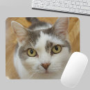 Search for cat mousepads modern