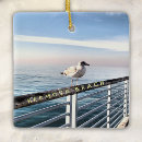Recherche de mouettes ornements Californie