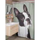 Search for boston terrier shower curtains Cute