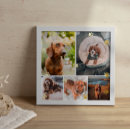 Search for cute dog paw posters Photo collage