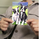 Recherche de chiot de terrier de boston Aquarelle