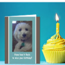 Recherche de d humour chien joyeux anniversaire cartes invitations Friend