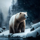Search for winter puzzles Photograph