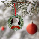 Search for 2 sided ornaments Cat