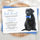 Recherche de labrador retriever invitations Chien