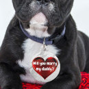Search for marriage pet supplies Cute