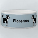 Search for working pet supplies For pets