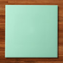 Search for mint green tiles Colour
