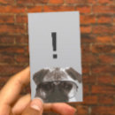 Recherche de chien carlin cartes visite Animal de compagnie