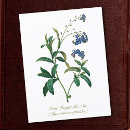 Search for forget postcards Floral