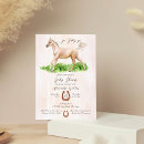 Recherche de poulain invitations Cheval