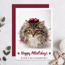Search for cat lovers christmas cards Pet