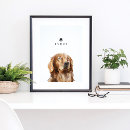 Recherche de extractie posters Pour animaux