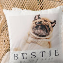 Recherche de pet coussins Dog