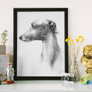 Search for whippet dog posters Cute