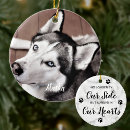 Search for loss pet memorial ornaments Dog photo
