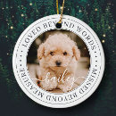 Search for pet supplies Forever in our hearts