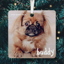 Recherche de cute dog ornaments Zpet