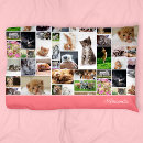 Search for crazy pillowcases Crazy cat lady