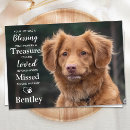 Search for animal poems cards Dog