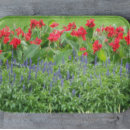 Recherche de photographie tapis Jardin