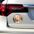 Search for dog bumper stickers magnets
