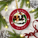 Search for dog ornaments cute