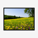 Recherche de prairies posters Floral