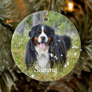 Recherche de pets ornaments Pour tous