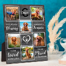 Recherche de love animaux articles Dans la mémoire d'amour