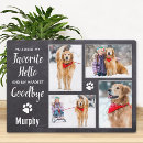 Search for hello pet supplies In loving memory
