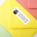 Search for cows return address labels Modern
