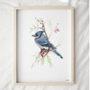 Search for jay art Nature