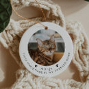 Search for new dog ornaments Modern christmas