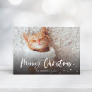 Search for kitten christmas cards Script